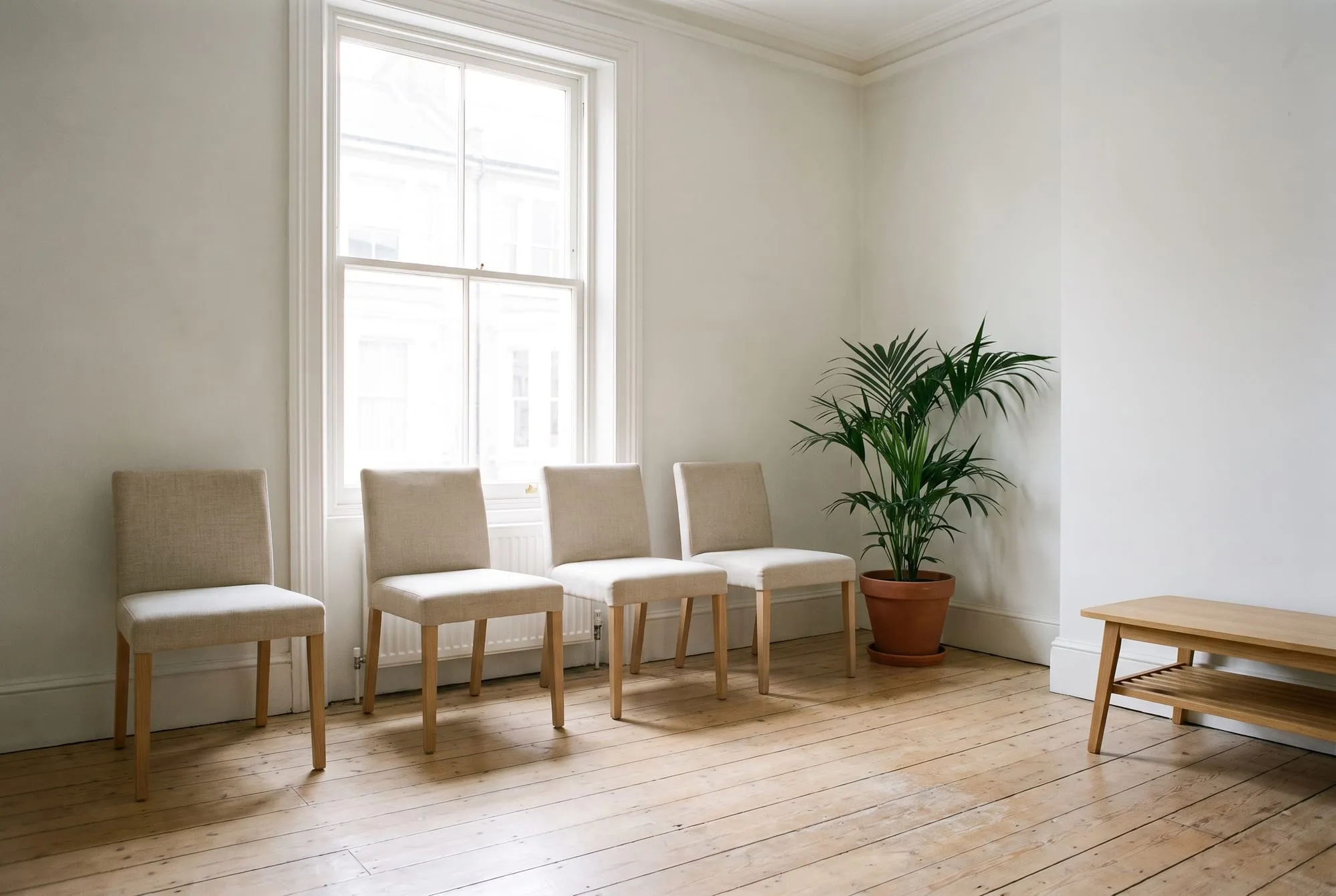 Waiting room with chairs along a window and a plant in the corner